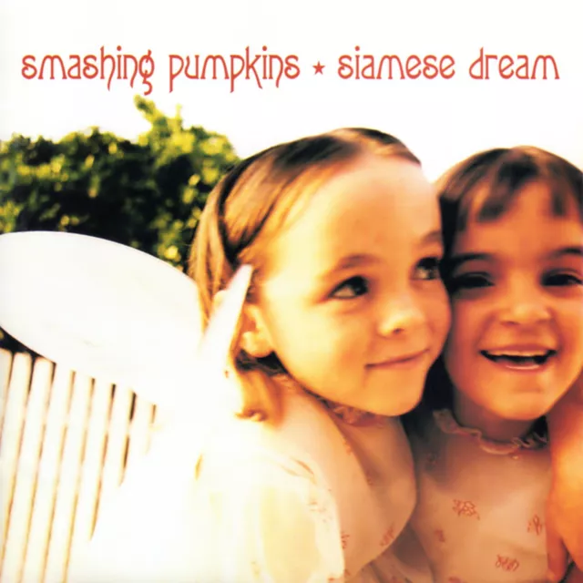 SMASHING PUMPKINS Siamese Dream BANNER HUGE 4X4 Ft Fabric Poster Tapestry Flag