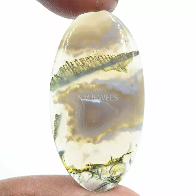Cts. 21.75 Natural Moss Agate Cabochon Oval Shape Cab Loose Gemstone
