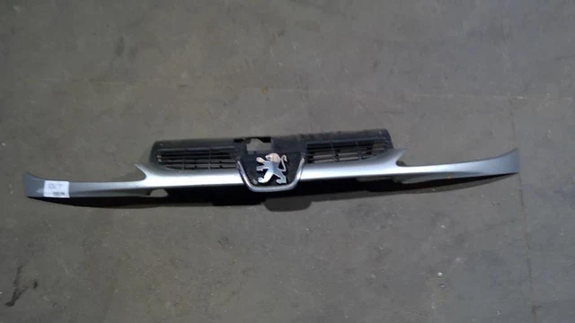 Calandra PEUGEOT 206 7804H4