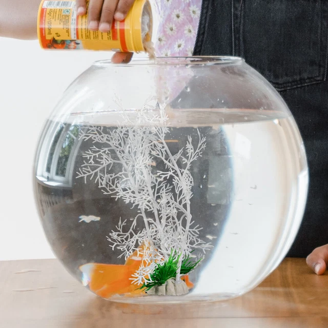 5 Pcs Aquarienpflanzen Unterwasserpflanzengras Gefälschte Lebensecht Aquarium