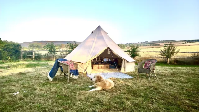 5m bell tent Cornwall Glamping / camping - Hire / rent from £30 per night