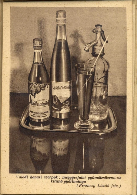 Rumänien Ungarn 1940 GR.MURES ERDÉLYRÉSZI HANGYA SZÖVETKEZET Fantastisches ALBUM RR 5