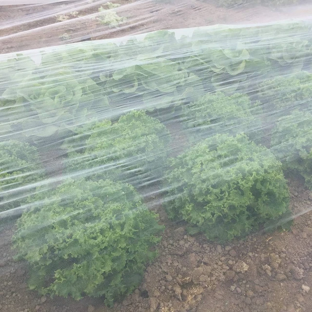 COITEK Garden Netting, Garden Netting Fine Mesh, Insect Netting for Garden Plant