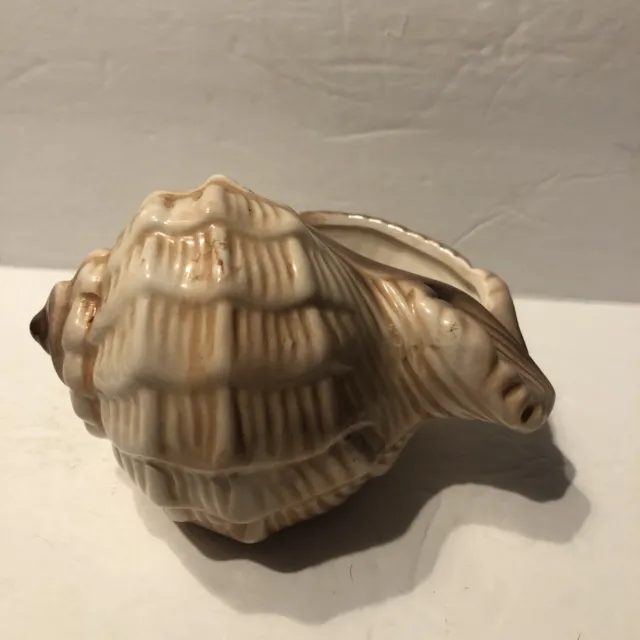 Tan Ceramic Conch Shell Planter Decorator Piece. 5” Long X 4” Wide
