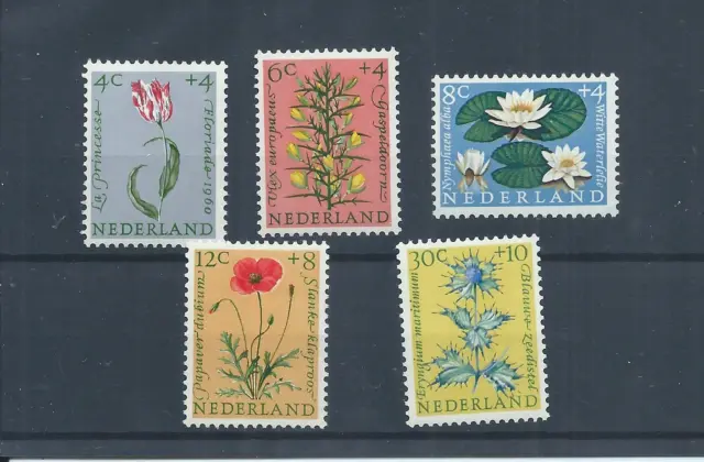 Netherlands stamps.  1960 Cultural & Social Relief Fund Flowers MNH   (AC510)