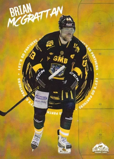 BRIAN McGRATTAN - NOTTINGHAM PANTHERS, RARE 2022-23 SERIES 2, POSTER SERIES CARD