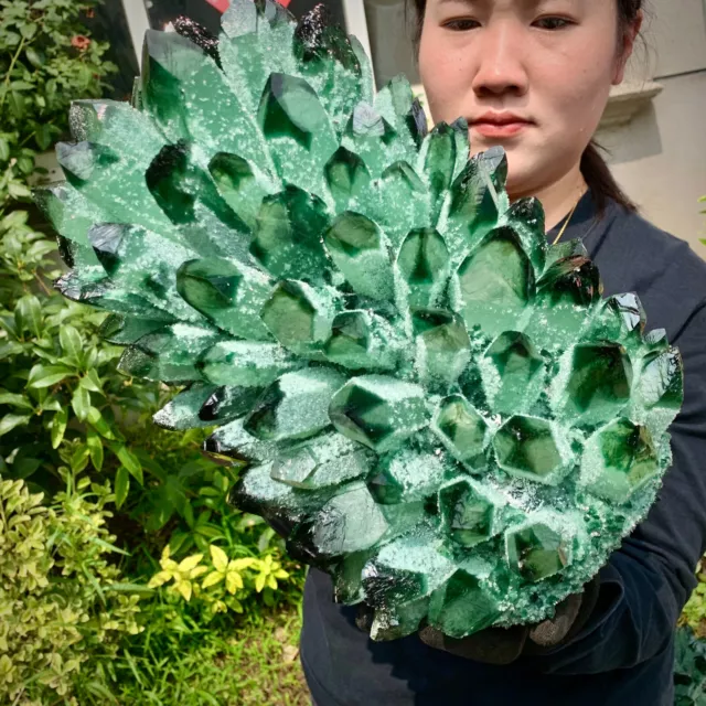 31.24LB   New Find Green Phantom Quartz Crystal Cluster Mineral Specimen Healing 4