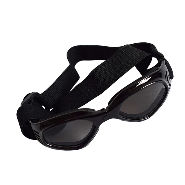 Sunglasses Pets Dog Sunglasses Transparent Glasses Windproof 2