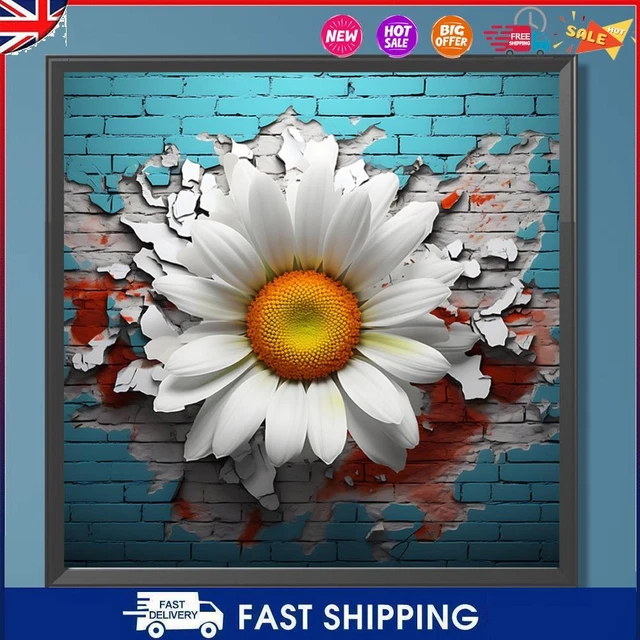 Paint By Numbers Kit DIY Oil Art White Daisy Picture Home Decoration 40x40cm C-