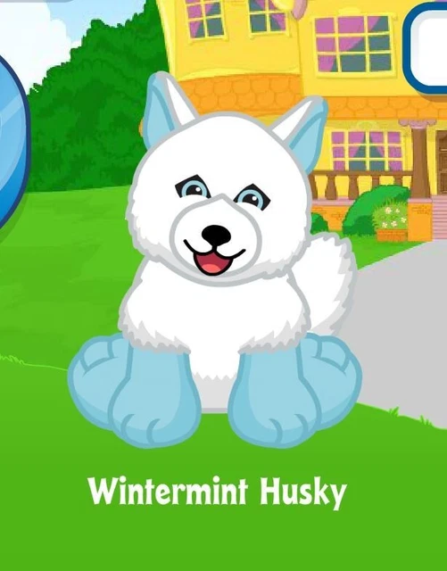 WEBKINZ WINTERMINT HUSKY JANUARY 2024 Pet of the Month Adoption Code