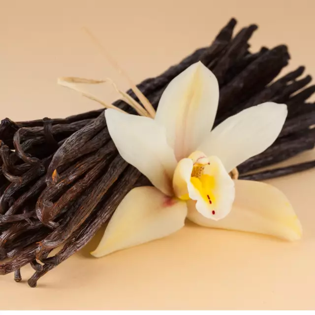 20 Gousses de Vanille Bourbon Madagascar Premium Vanilla - Expédition de France