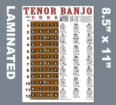 LAMINATED TENOR BANJO Chord Chart Poster Easy Chords Beginner 8.5x11 ...