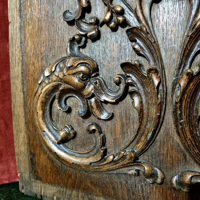 Griffin scroll leaf wood carving panel - Antique French architectural salvage