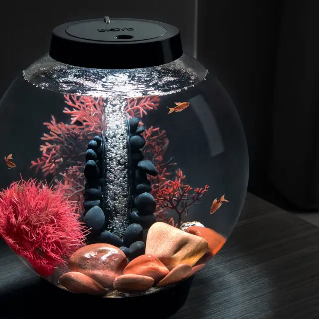 FISH BOWL 4 Gallon Aquarium Tank with Accessories and Decor, White LED Light 3