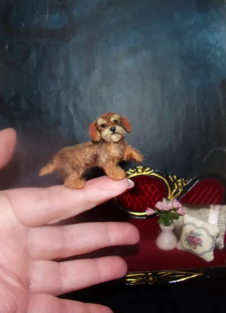 Made to order ooak Realistic Dachshund dog Miniature Dollhouse handmade IGMA