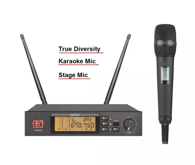 2 Channel Handheld Wireless microphone True Diversity Cordless Microphone System