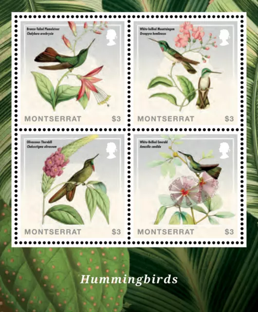 Montserrat - 2014 Hummingbirds - Sheet of 4 - MNH