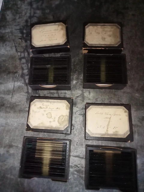Solgar Ashwagandha Racine 60 gélules Solgar Ashwagandha Racine 60 gélules