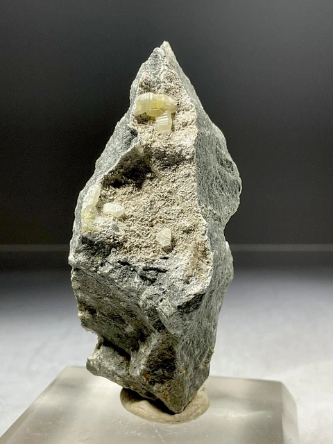 SS Rocks - Weloganite (Francon Quarry, Montreal, Quebec, Canada) 36g