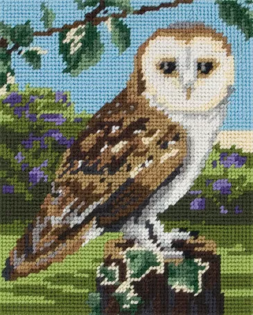 1x Tapestry Kit Starter Owl Sewing Craft Tool Hobby Art UK R951 Bulk Filoro