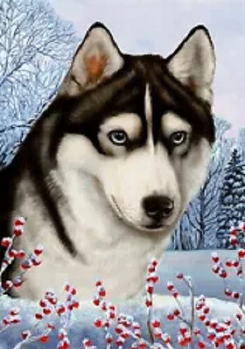 Winter Garden Flag - Blue-Eyed Black and White Siberian Husky 154371