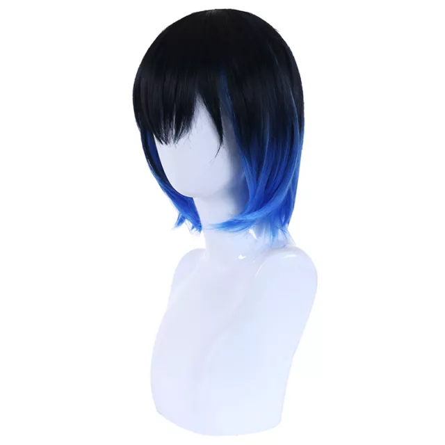 Demon Slayer Kimetsu no Yaiba Hashibira Inosuke Cosplay Costume Wig  Exhi^AY