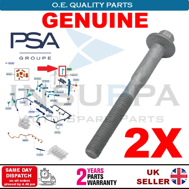 Kit Complet Courroie Humide Pour Ford Transit 2L FWD 2017 – Inclut Huile Moteur Castrol, Neuf, Garantie 1 An
