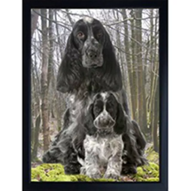 COCKER SPANIEL BLUE ROAN WITH PUPPY 3D FRIDGE MAGNET  Great Christmas gift