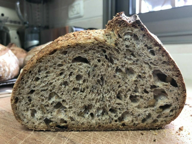 San Francisco live SOURDOUGH STARTER collezione cimelio molo biologico bonanza