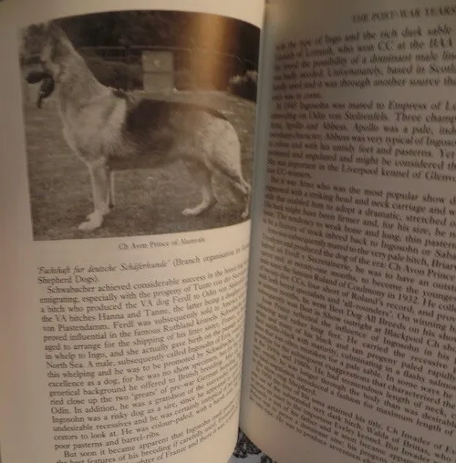 German Shepherd Dog Brian Wootton Breeding Working Bloodlines Showing 1988 Book 6