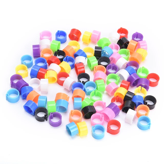 100 x anelli per uccellini 8 mm fasce per gambe clip piccione colomba pulcini anatra bantam pollame nuovo*/t