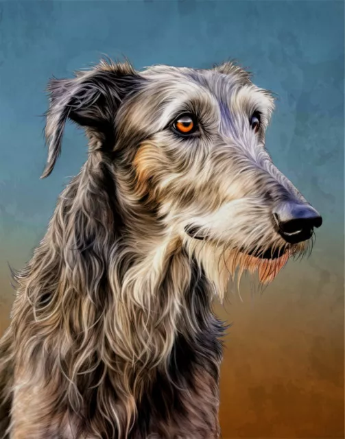 Scottish Deerhound Print Dog Breed Poster Wall Art Decor 8x10 Watercolor Style