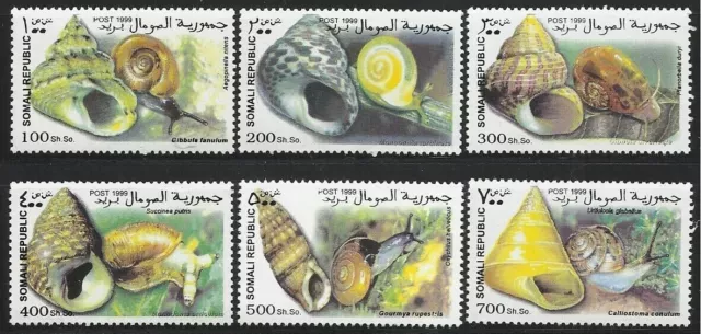 1999 SOMALIA Molluschi Lumache conchiglie  serie completa NUOVI MNH