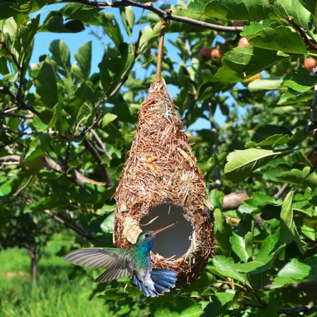 Hummingbird House Bird Nest Natural Bird Hut for Outside Natural Grass Material