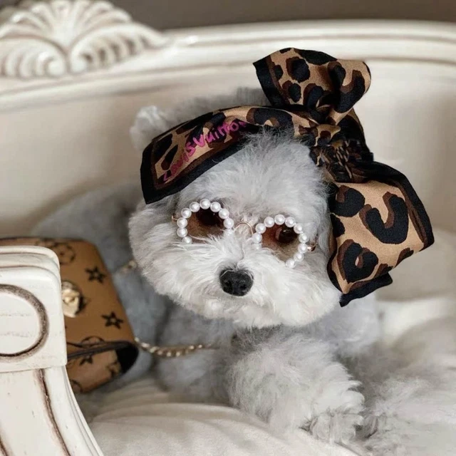 Accesorios para perros gatos mascotas mascotas mascotas mascotas fiesta decoración gato gafas de sol gato