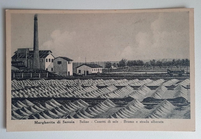 Margherita Di Savoia Saline Conetti Di Sale Bromo E Strada Alberata