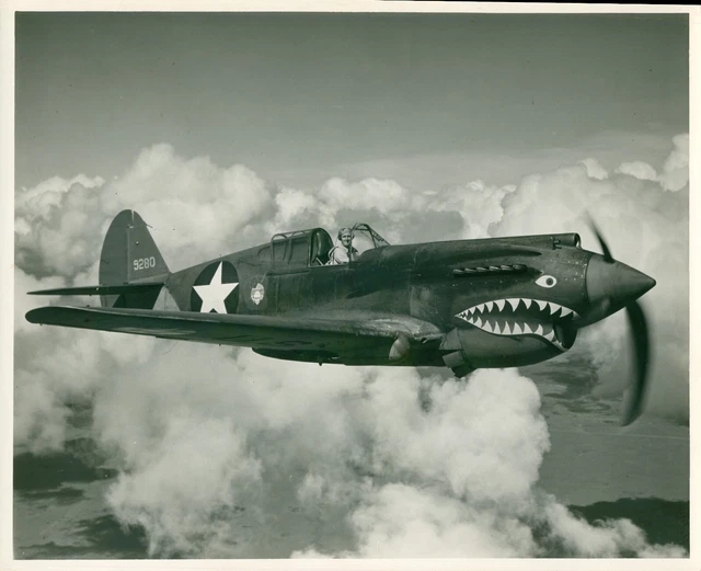 1940'S WWII USAAF Aircraft 8x10 Photo Curtiss P-40 Warhawk flying tiger ...