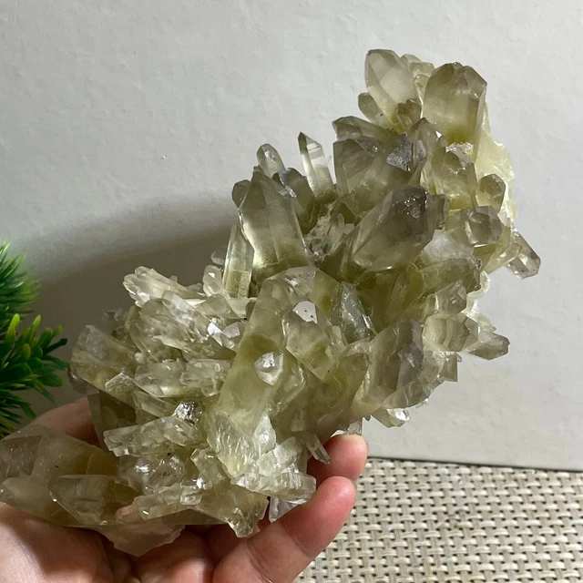 New Find Yellow Phantom Quartz Crystal Cluster Mineral Specimen Healing 1046g