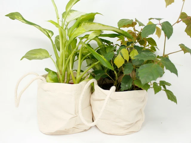 Round Canvas Plant Tray - Set of 2 - Waterproof Lined Canvas for Indoor Pots