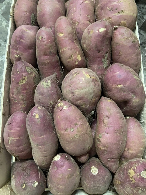 Patate Dolci Salentine 15 Kg Circa