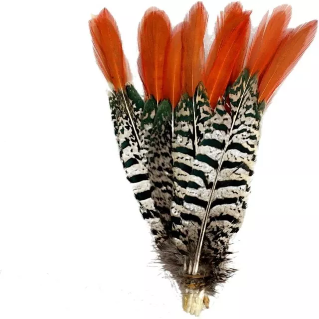 Red Tip Spotted Feathers Natural Pheasant Tails Feather  DIY Craft