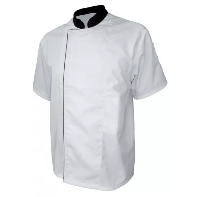 Veste de cuisine mixte blanche manches courtes PBV, veste de cuisinier pas cher