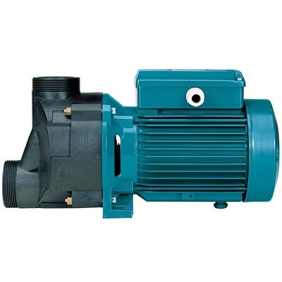 Calpeda Calpeda BNMPM 32/12FE Pompa ricircolo per PISCINA salata adescante 0,75Hp filtro 