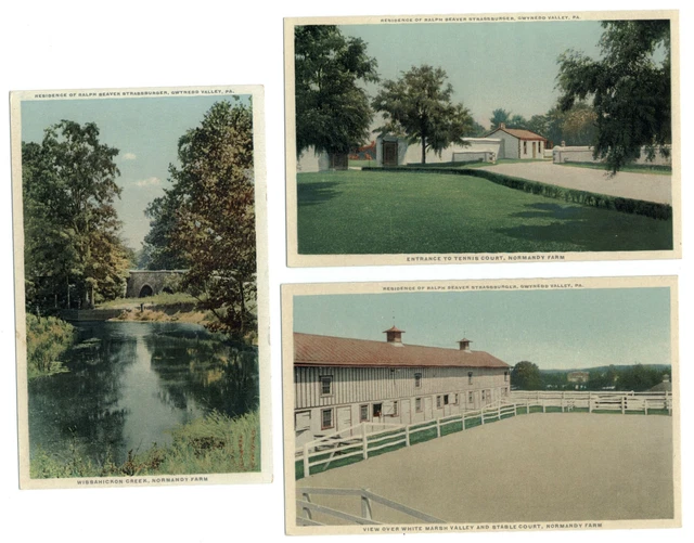 LOT OF 3 ~ Normandy Farm ~ Straussburger ~ Gwynedd Valley PA ~ postcards