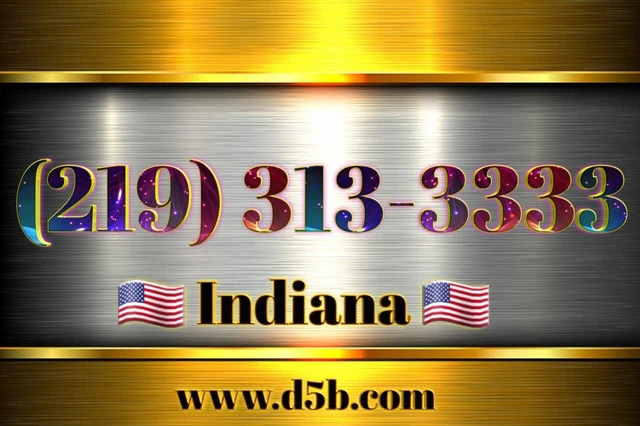 219 BEST VANITY Number (219) 313-3333 super cool Indiana awesome very special