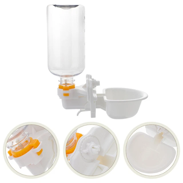 Bird Water Dispenser Raised Cat Bowls Drinking Fountain Cats