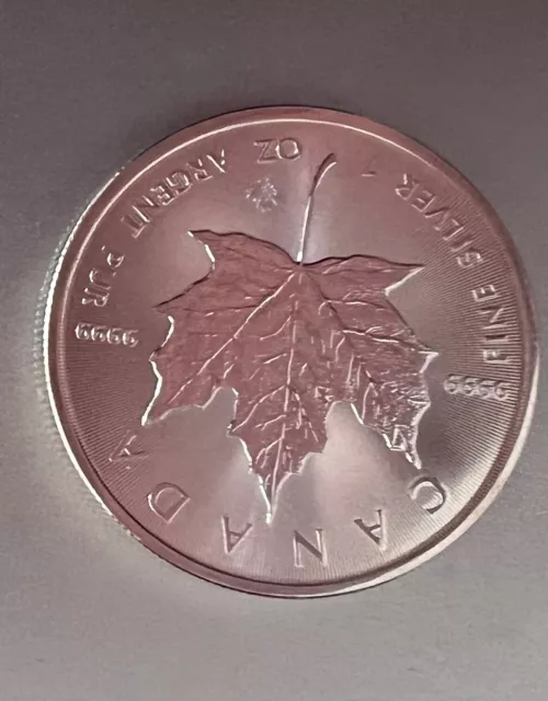 Maple Leaf 2022  1 Oz Silber 9999 Anlagemünze