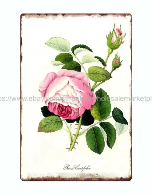 reproduction wall decor Botanical Rose metal tin sign