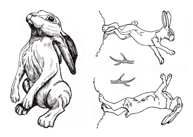 Pagan/Wiccan/Spirit Moongazing hare/ jackalope horns/ Boxing hares stamps.