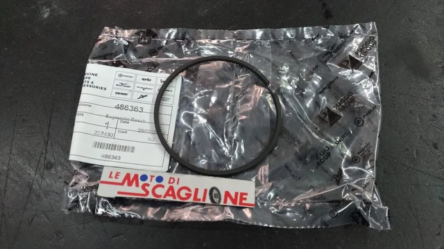 Fascia (72X2,5) Raschiaolio Originale Piaggio Beverly 200 250 Carnaby Gts X8 ...
